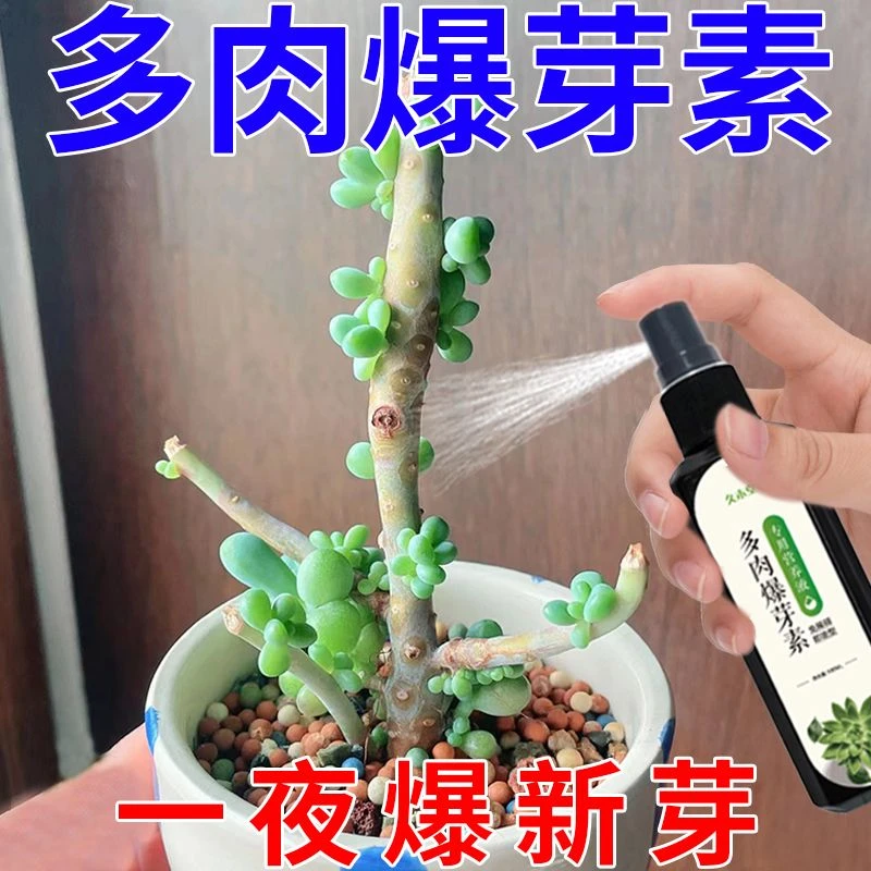 多肉爆芽素优芽素生根催芽剂爆头专用营养液增色增肥真喷爆芽王