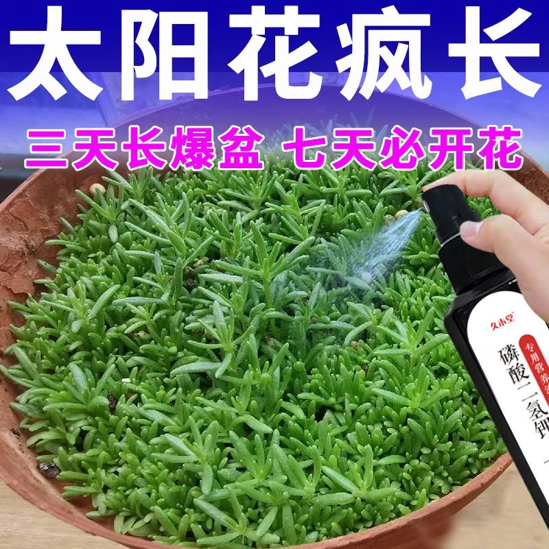 【催花促花】太阳花营养液养花开花专用防黄叶枯萎掉花苞免稀释直