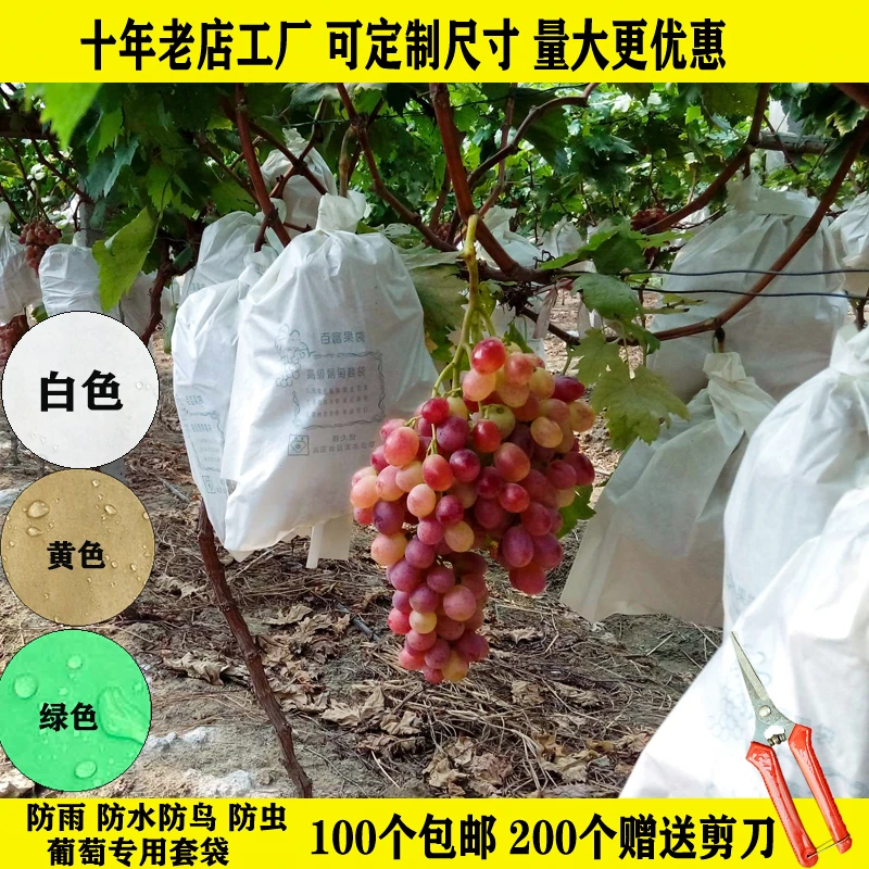 白色葡萄套袋防雨水防鸟虫枇杷莲雾芒果绿蓝三色阳光玫瑰专用套袋