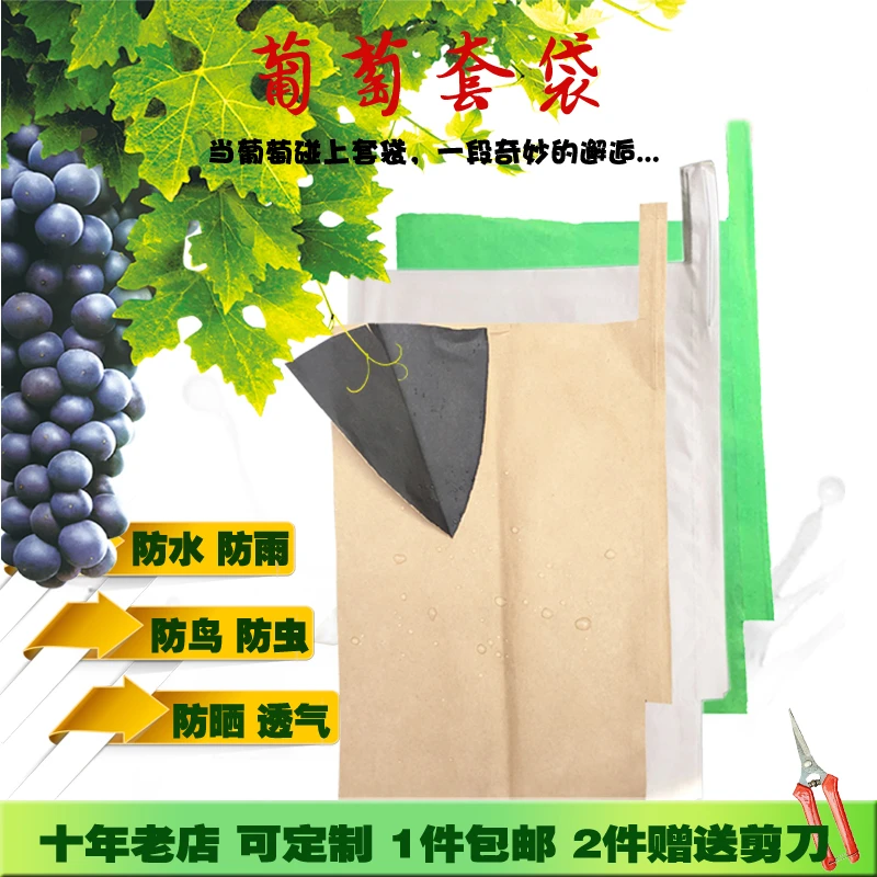 葡萄套袋巨峰水果套袋枇杷芒果纸袋防虫防雨水防鸟虫透气防晒包邮