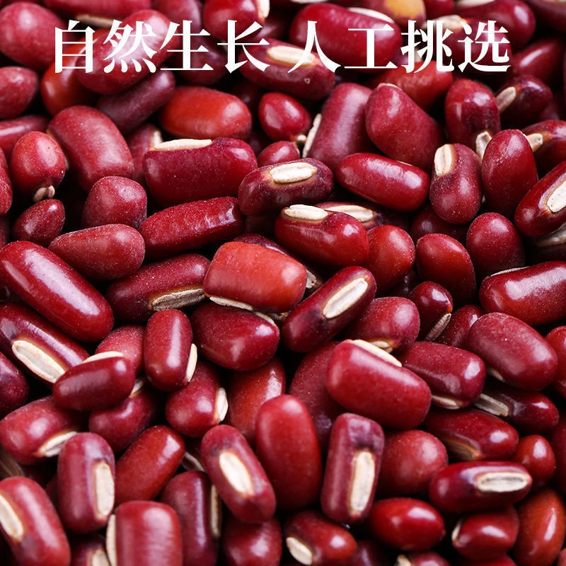 江西农家种植 红豆