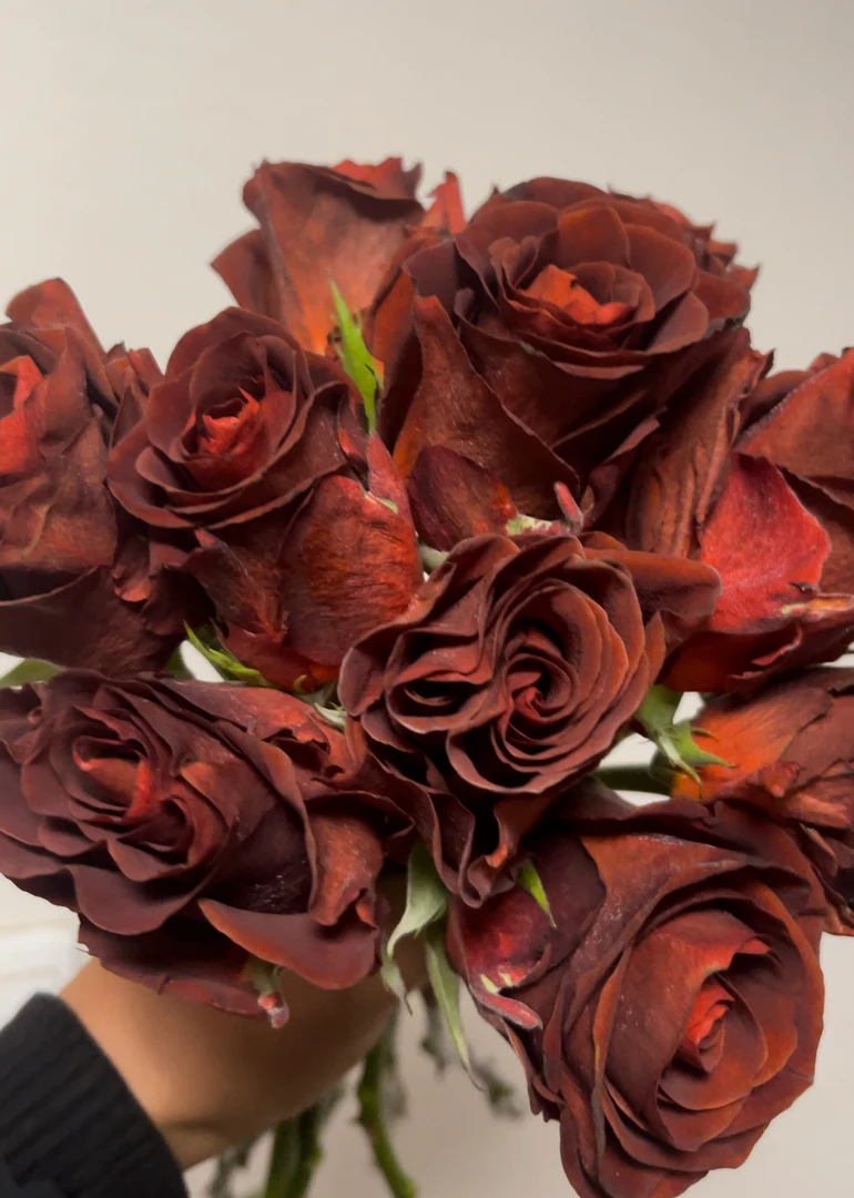 意式咖啡新品切花