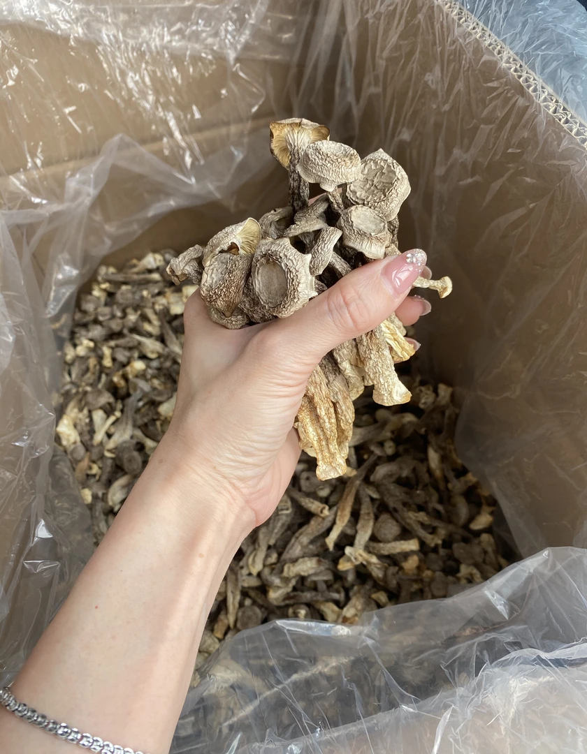 【艺华补品】鹿茸菌、干货胶滋补品搭配1～500g