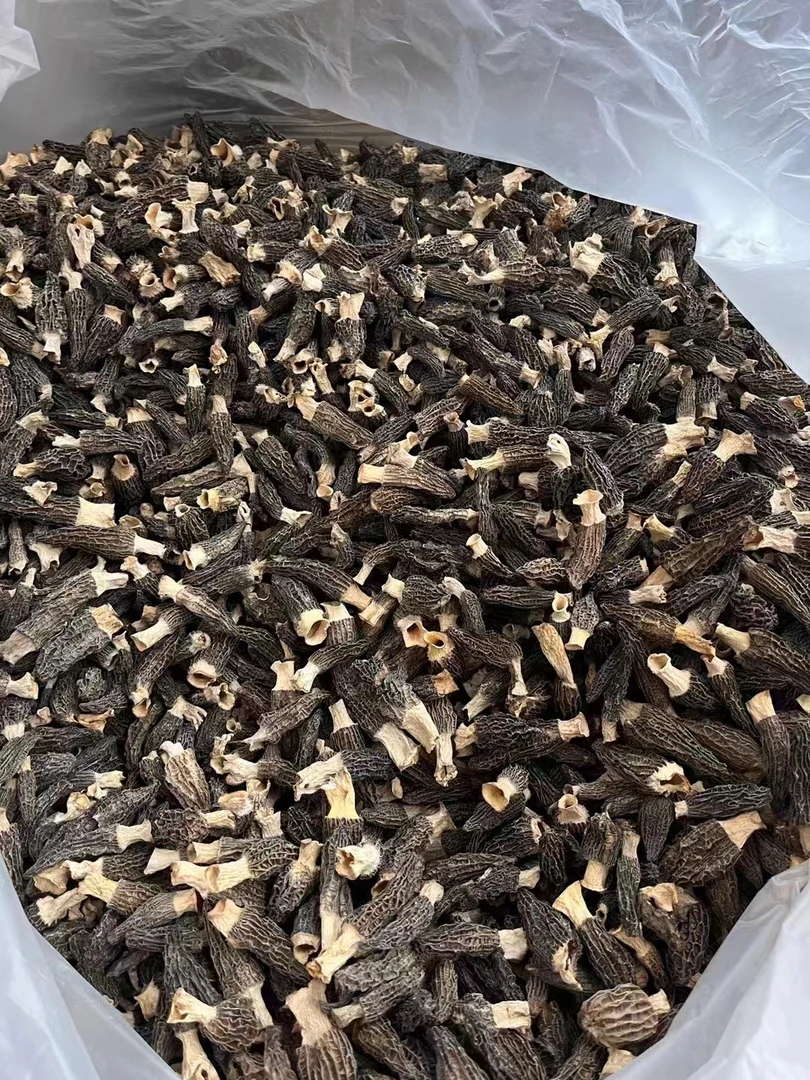 【大印滋补】洋肚菌鱼胶 花胶鱼胶海产干货炖奶煲汤营养