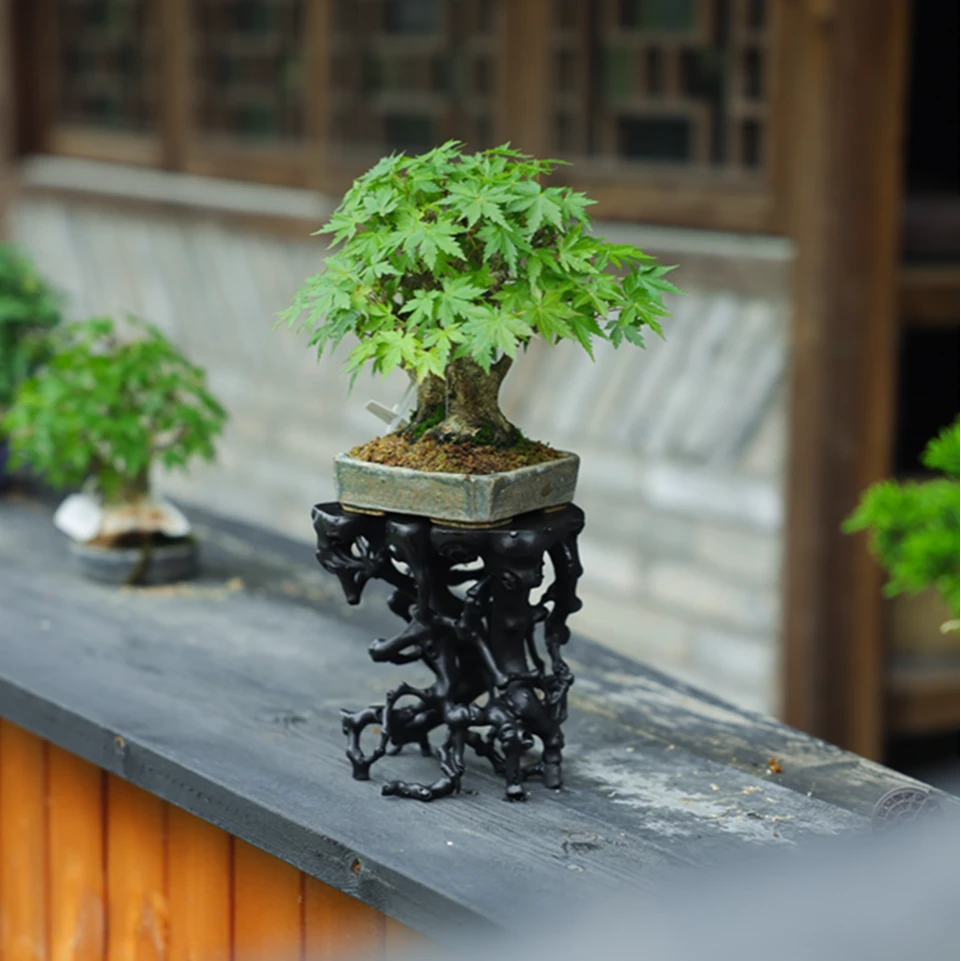 盆景几架《无相》（盆景用品）