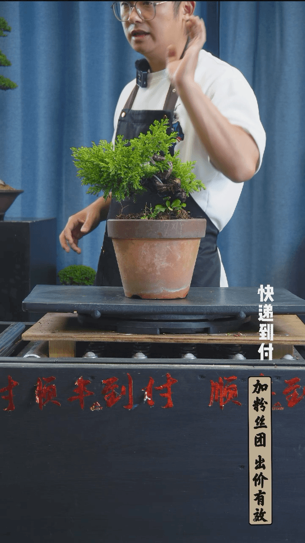 【闪购商品】pz₩c645真柏bubaoyou