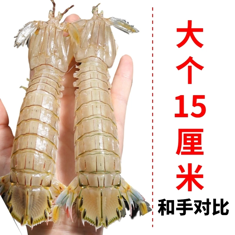 超大全母带膏皮皮虾海鲜鲜活熟冻爬虾濑尿虾姑特大虾婆富贵虾大个