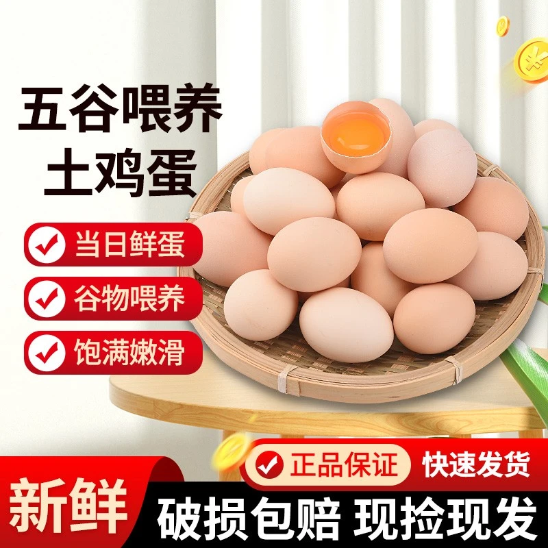 《大花家》拍20送20土鸡蛋（40g/枚）农家散养柴鸡蛋 新鲜营养