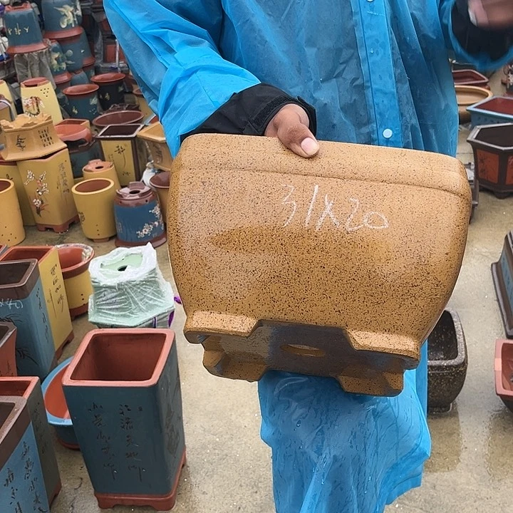 紫砂20CM（含）-50CM（不含）