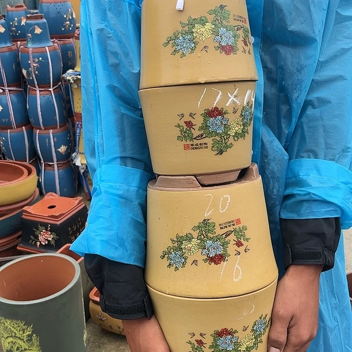 紫砂20CM（含）-50CM（不含）