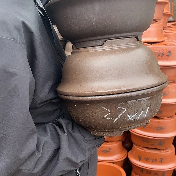 紫砂20CM（含）-50CM（不含）