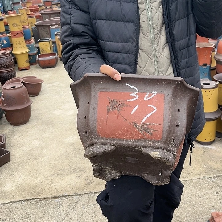 紫砂紫砂花盆紫砂花盆