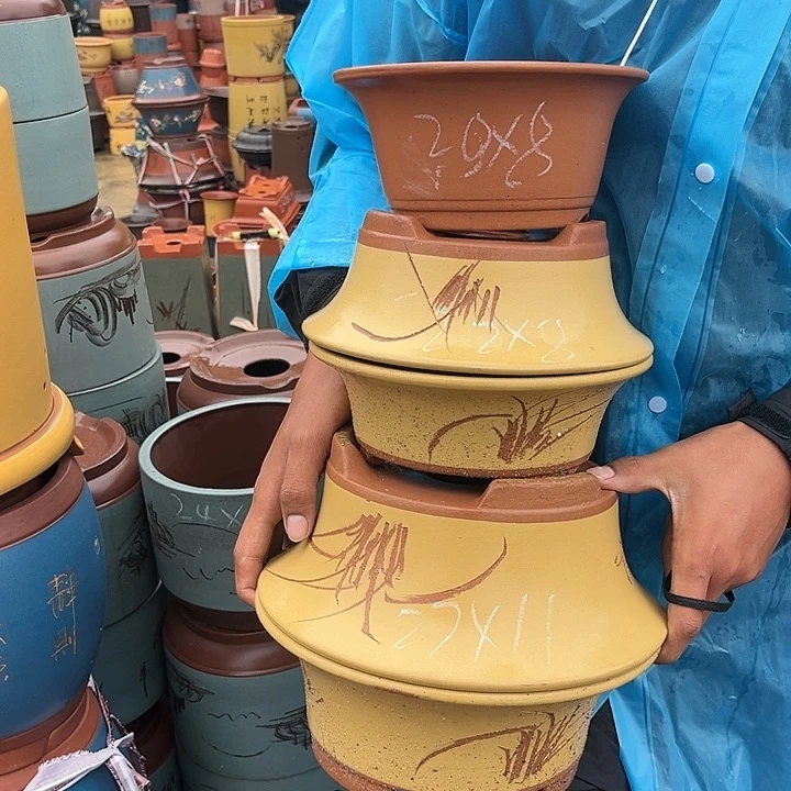 紫砂20CM（含）-50CM（不含）