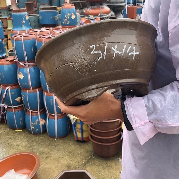 紫砂20CM（含）-50CM（不含）