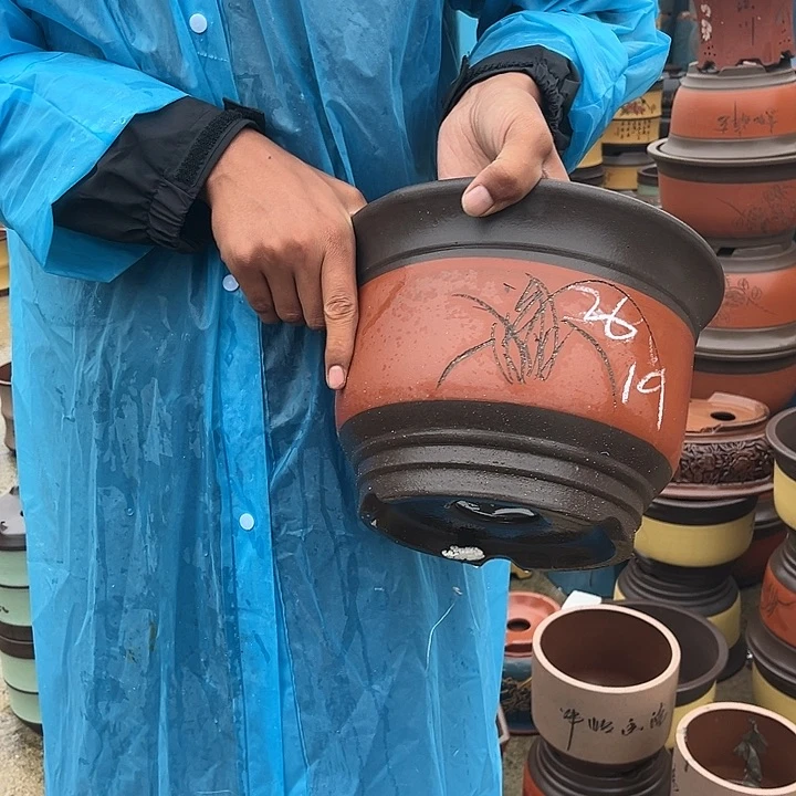 紫砂20CM（含）-50CM（不含）