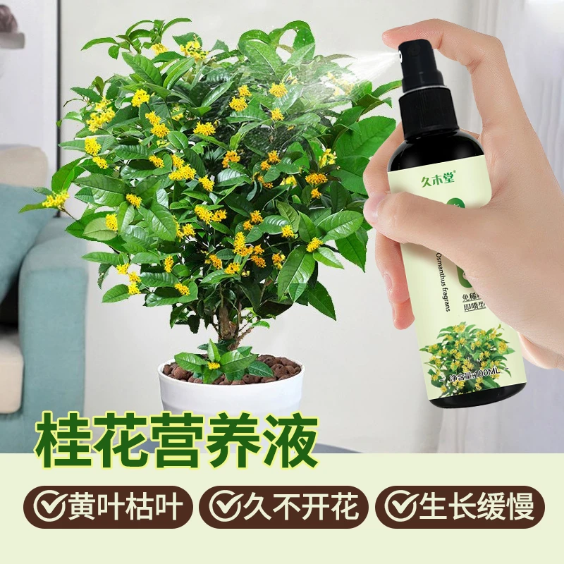 桂花专用营养液免稀释叶子枯萎发黄掉落提植物抗性促发芽长新叶肥