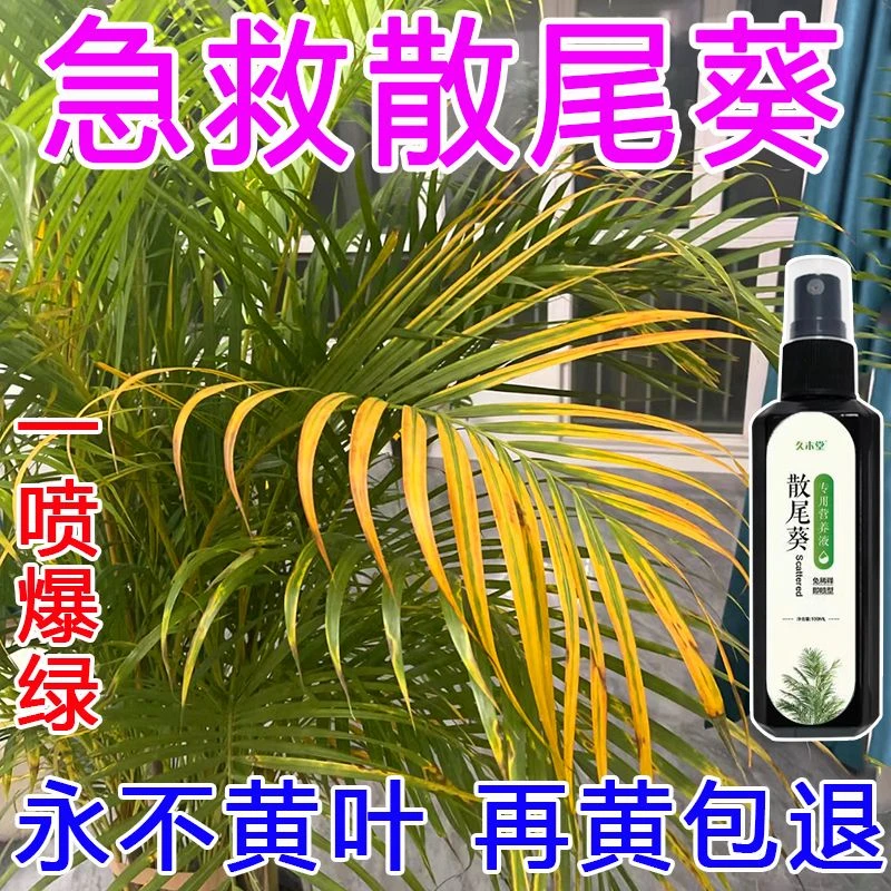 散尾葵营养液治黄叶防干尖防烂根枯萎落叶杆径黄专用肥