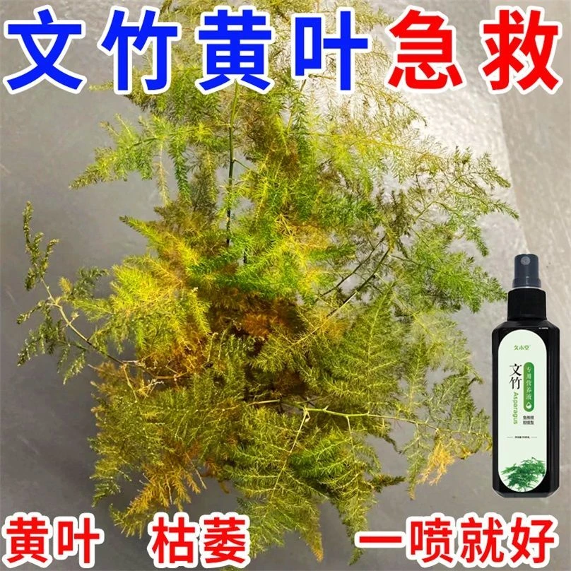 文竹营养液免稀释防烂根黄叶枯萎促生根壮苗肥生长土壤枝叶