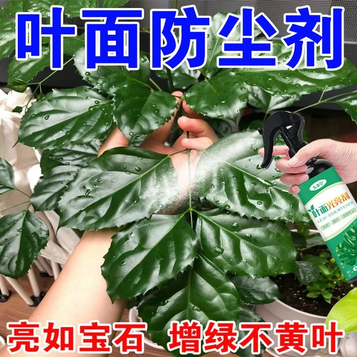 叶面光亮剂叶片花卉喷净绿植清洁擦叶子亮叶剂植物护花使者增绿