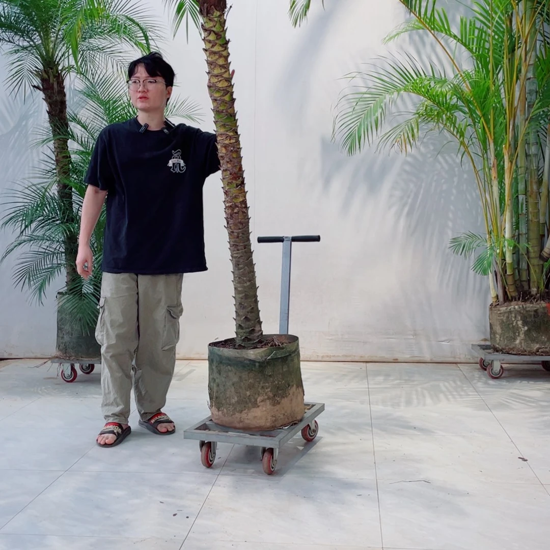 Z*法国进口葡萄酒产区位于