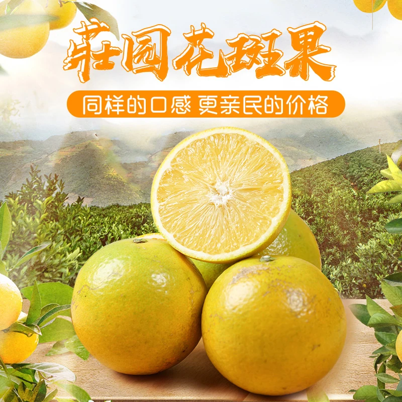 云南玉溪冰糖橙新鲜水果庄园花斑果橙子10斤装礼盒