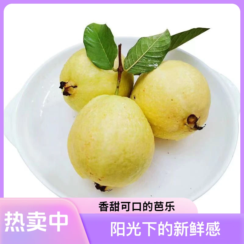 新鲜水果软心白心芭乐冰淇淋奶油口感番石榴软糯香甜多汁产地发货