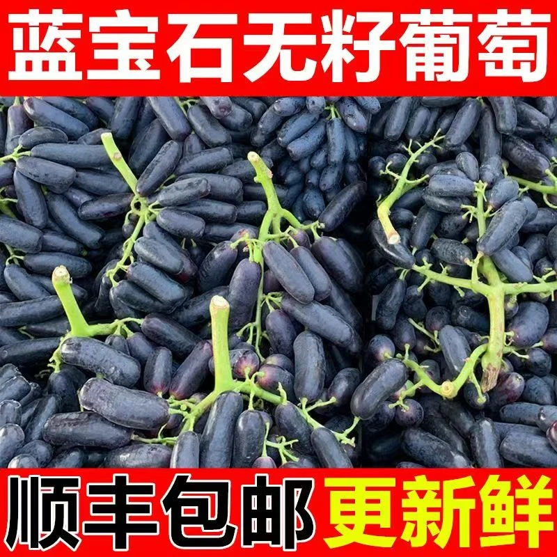 运城蓝宝石无籽手指葡萄新鲜甜水果产地直发顺丰包邮