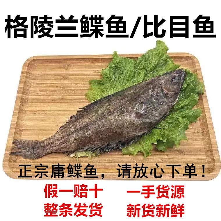 无冰衣鲽鱼2-2.2斤/条 正宗格陵兰比目鱼碟鱼整条鸦片鱼 海鲜顺丰