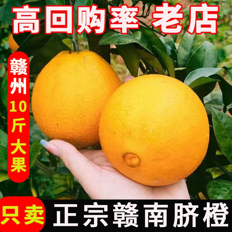 【10斤精品果王】正宗赣南脐橙新鲜应季水果香甜多汁橙子脐橙产地直
