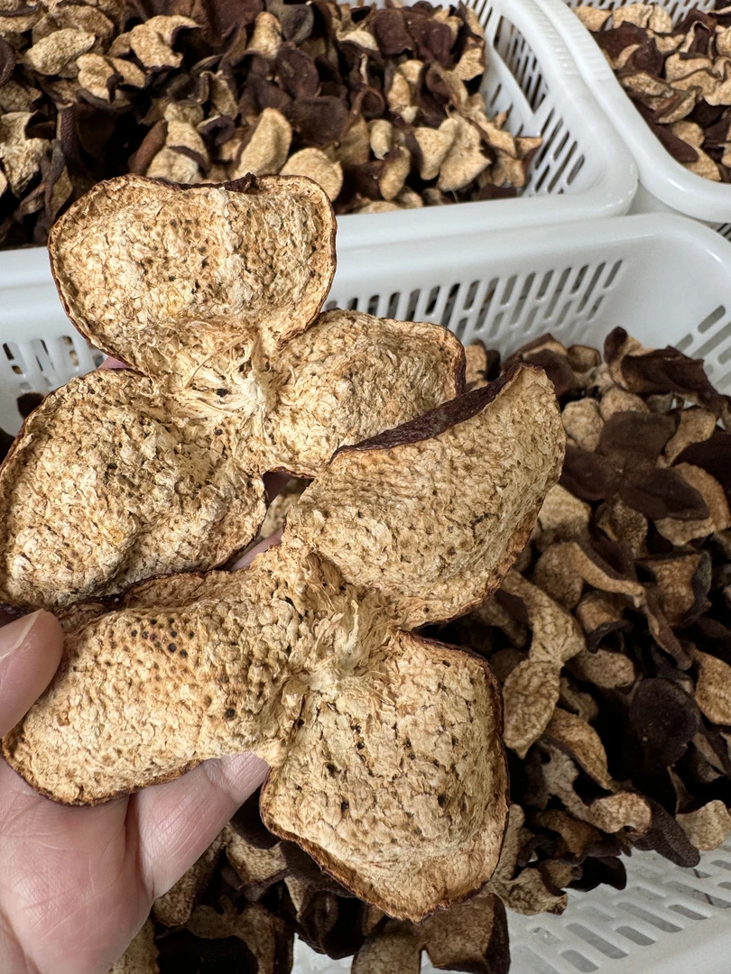 2017年新会东甲圈枝大红皮