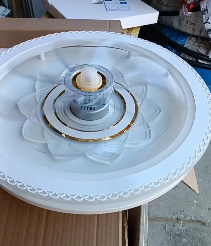 风扇灯，新款风扇灯，时尚灯