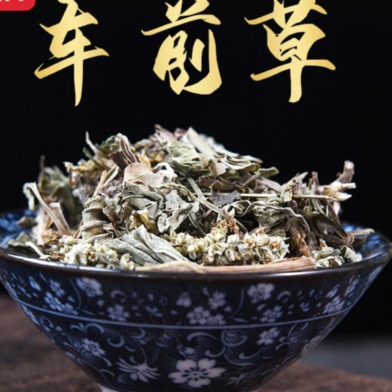 车前草 利尿药用无根干货无杂净重100克