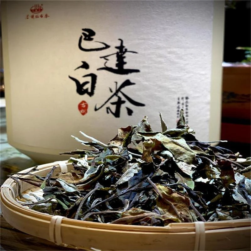 芒嘎拉 2023年巴达古树白茶