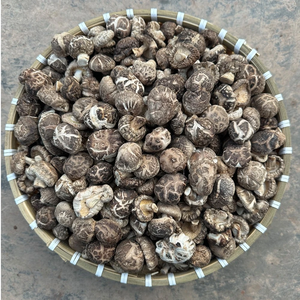 南漳东巩特产香菇干香菌