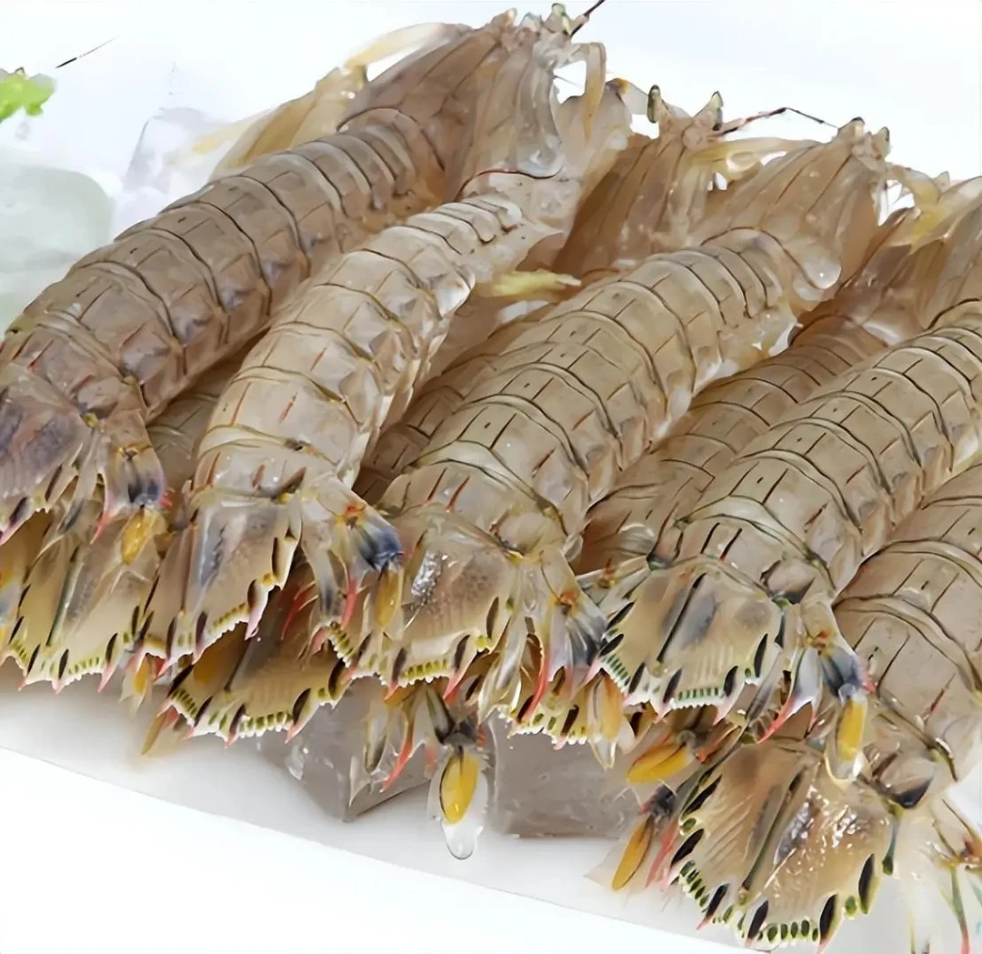 鲜活皮皮虾 虾爬子濑尿虾 约500g/份