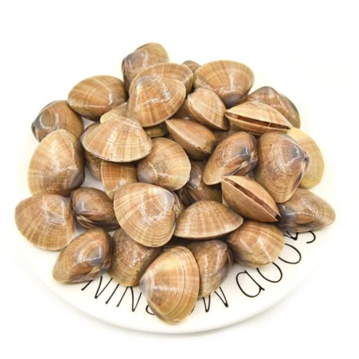 鲜活 黄蚬子500g/份