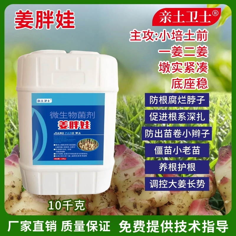 姜根粗姜胖有效提高促进底座稳预防农用根腐烂脖子水溶微生物菌剂