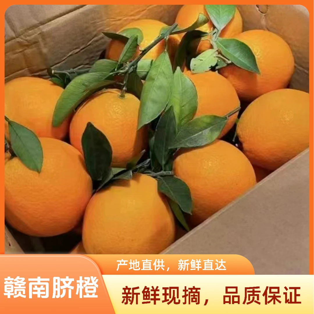 正宗赣南脐橙 整箱10斤装 江西新鲜橙子当季水果安远脐橙赣州发货