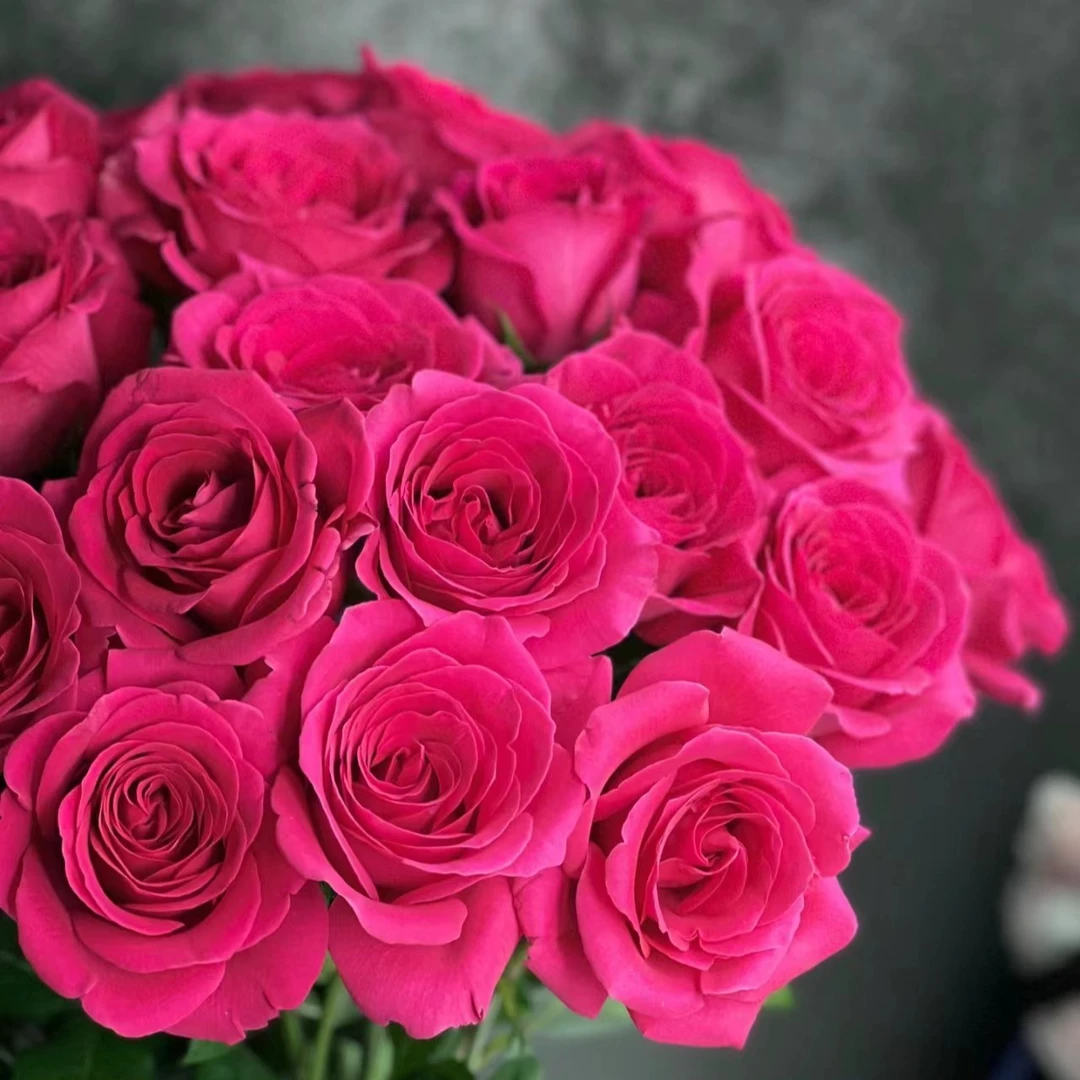 套餐44  弗洛伊德玫瑰10支+苏菲宝贝泡泡5支