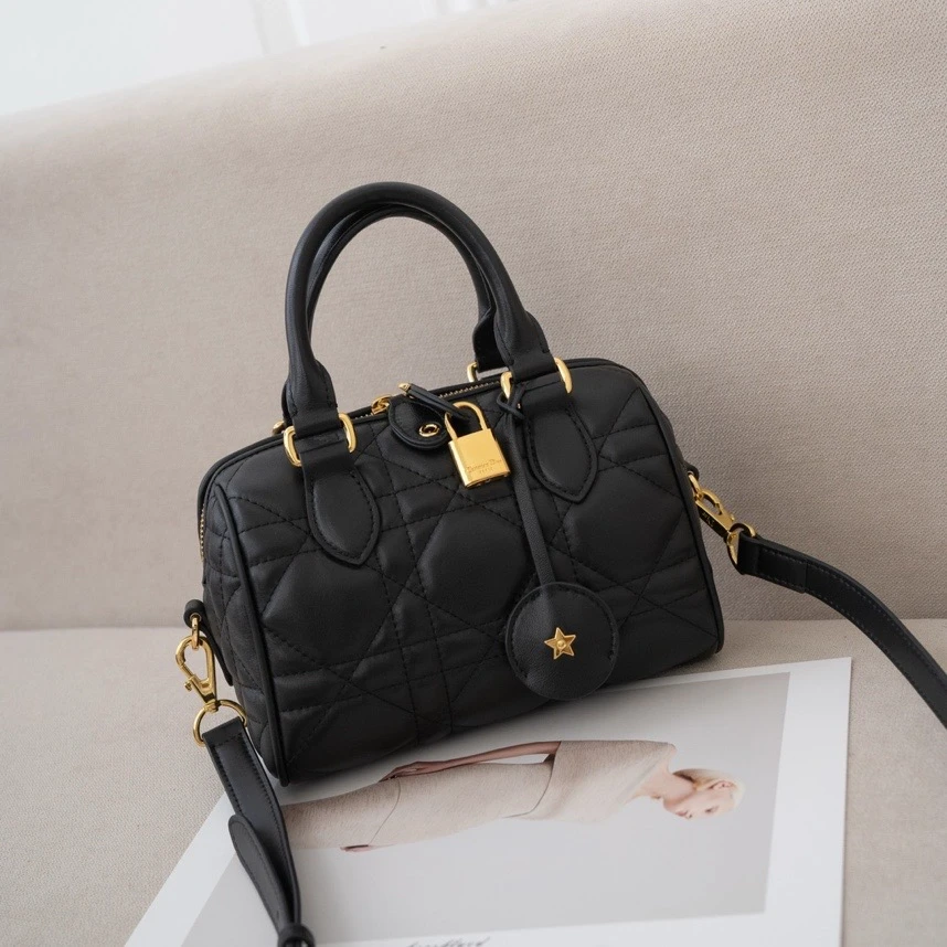 （长21高16厚11）2024新款时尚百搭女士韩版手提小众包斜挎包C678