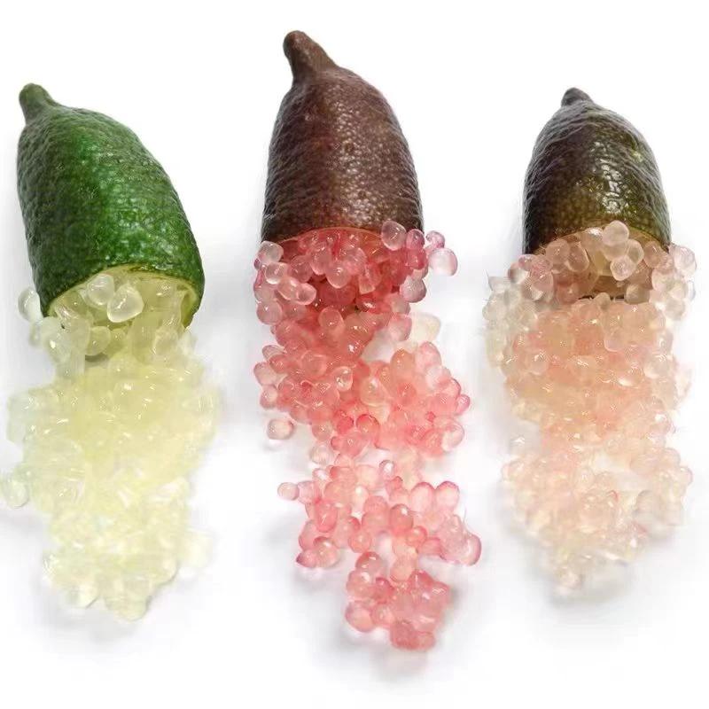 手指柠檬高端摆盘手指橙鱼子酱点缀装饰水果新鲜采摘稀有奇葩水果