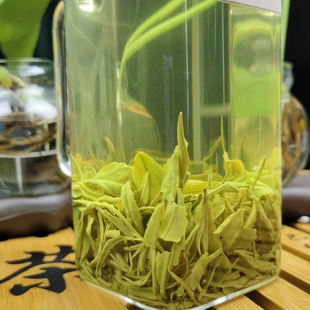 信阳毛尖2024新茶，口粮茶，抓口耐泡，入口甘甜，香浓醇厚