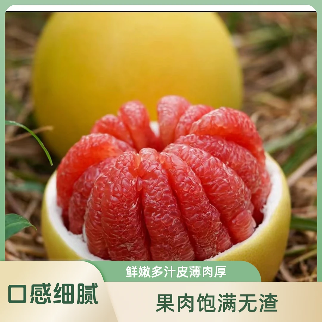 红心蜜柚鲜果采摘香甜多汁果肉饱满无渣产地直发鲜嫩浓郁爆汁