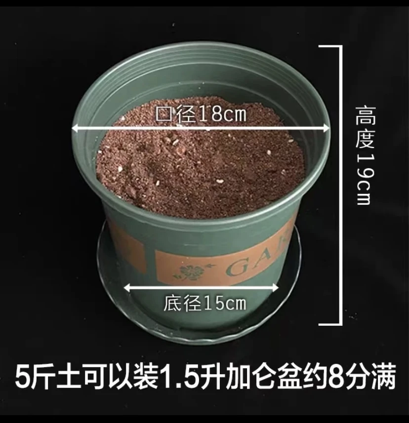 沙漠玫瑰专用土5斤装