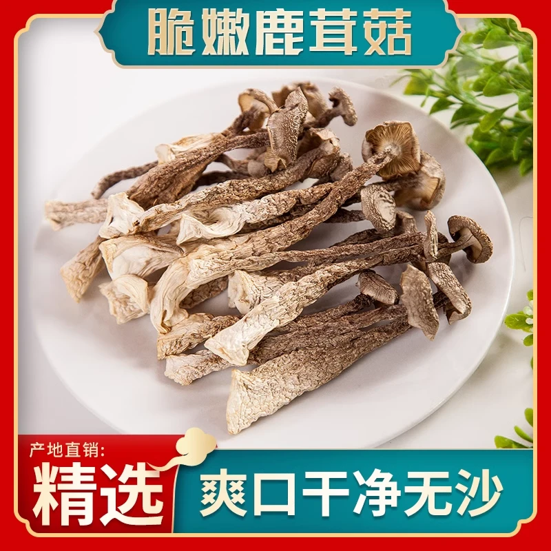 鹿茸菇干货菌子无硫熏2024新鲜煲汤炒肉古田特产脆脆菇鲜美