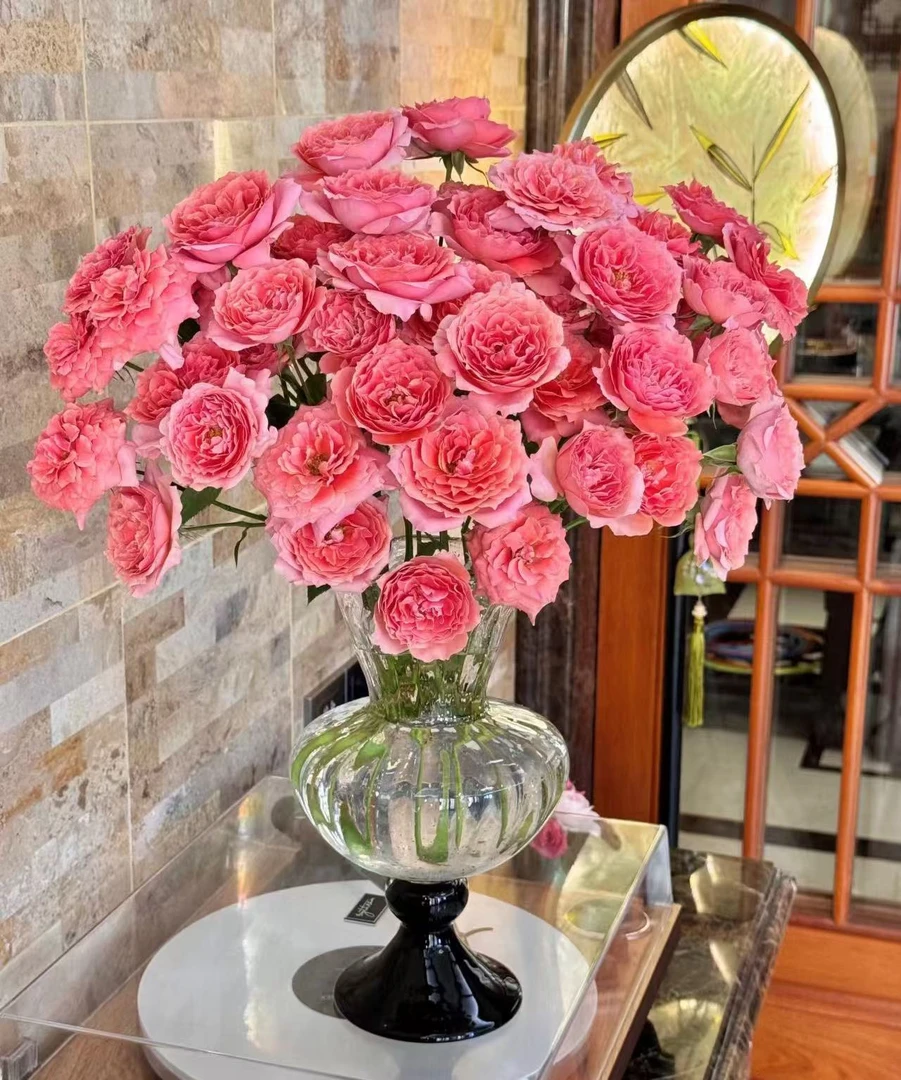 【不包邮2单起发粉拉拉玫瑰链接】鲜切花美观养护