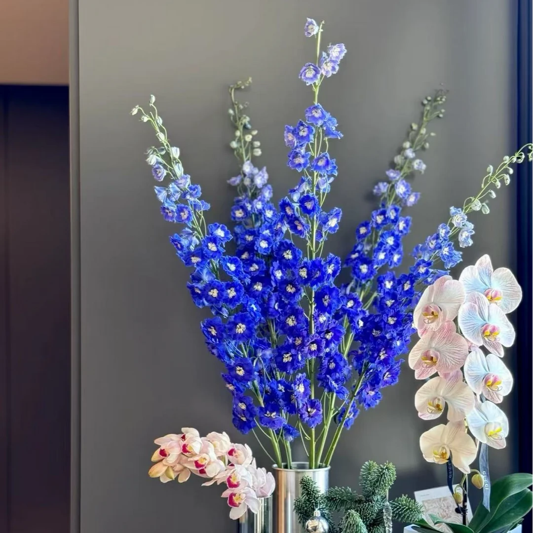 【高地人 大飞燕链接】鲜切花美观养护