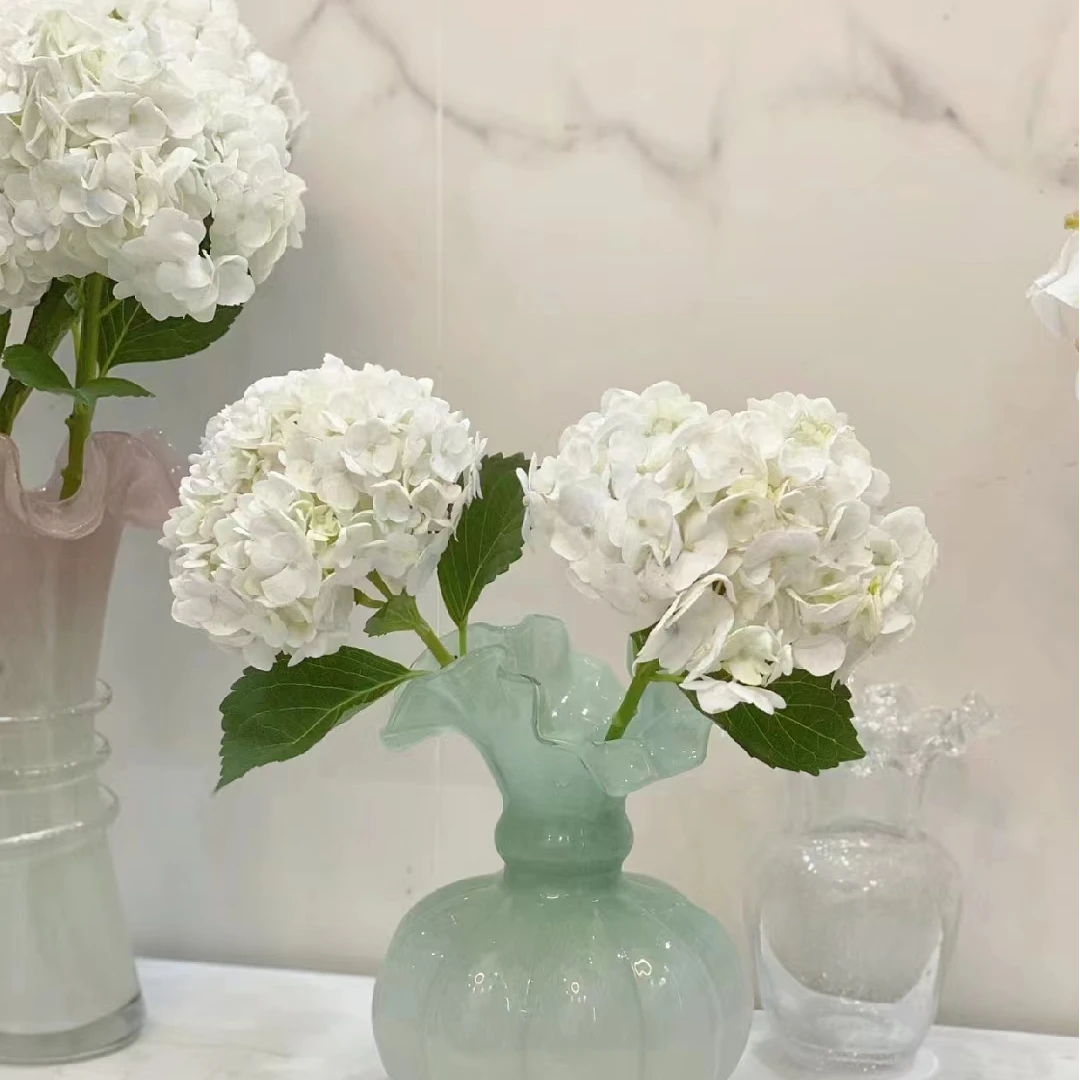 【白色绣球链接】云南产地直发 | 新鲜采摘