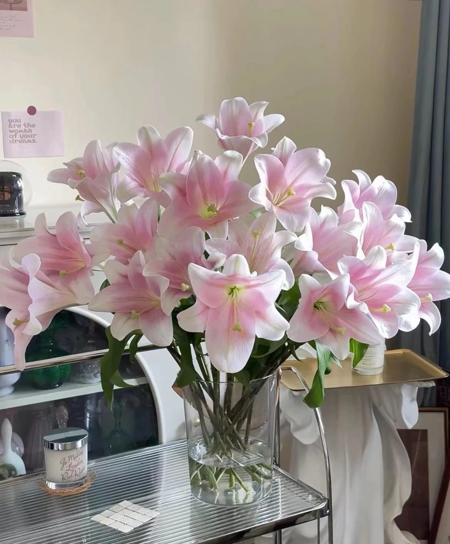 【一瓶好花 粉铁炮百合链接】云南产地直发 | 新鲜采摘