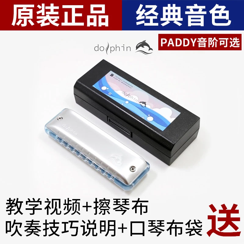 园园同款Boogieman海豚初学十孔布鲁斯专业演奏PADDY音阶蓝调口琴